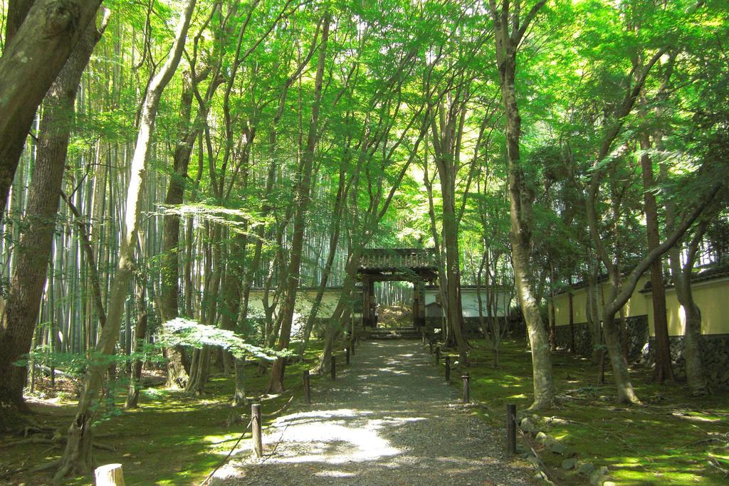 SAIZEN 松室 stay 京都市 エクステリア 写真