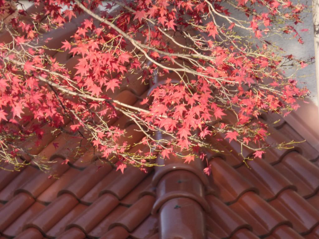 SAIZEN 松室 stay 京都市 エクステリア 写真
