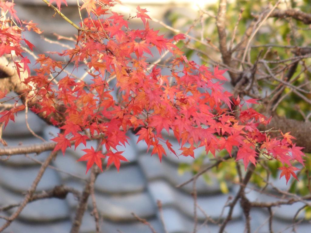 SAIZEN 松室 stay 京都市 エクステリア 写真