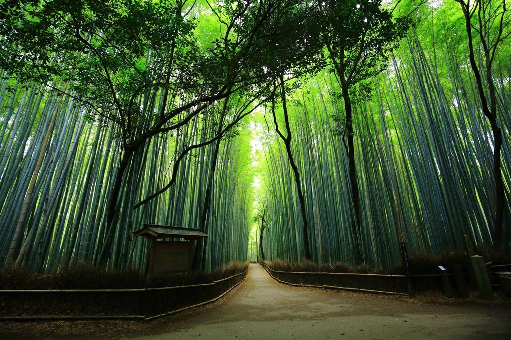 SAIZEN 松室 stay 京都市 エクステリア 写真