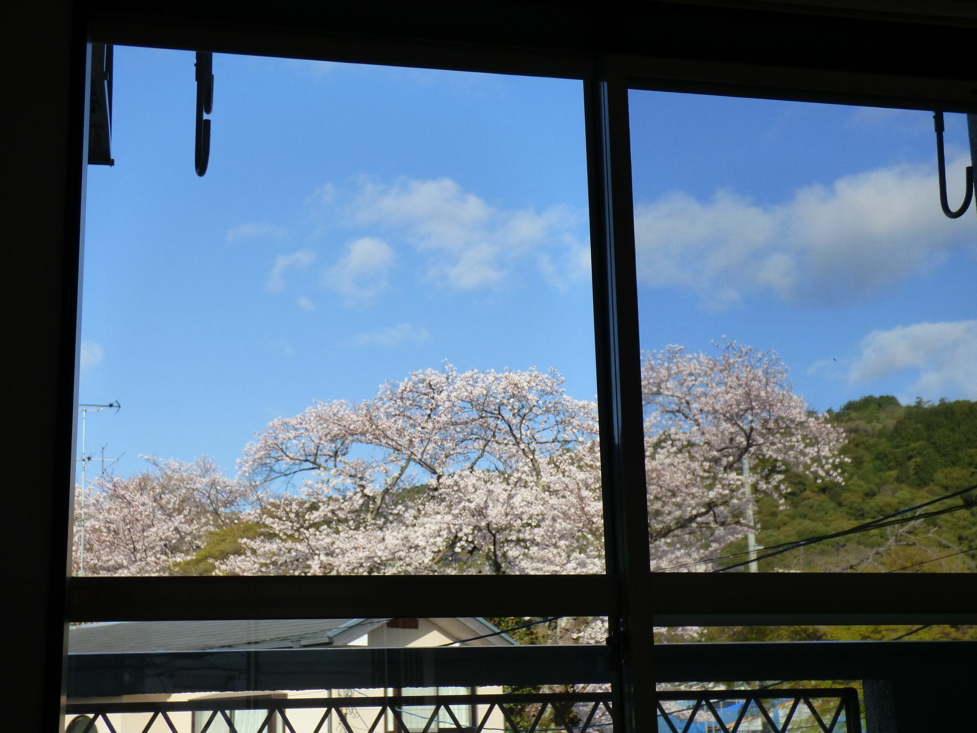 SAIZEN 松室 stay 京都市 エクステリア 写真